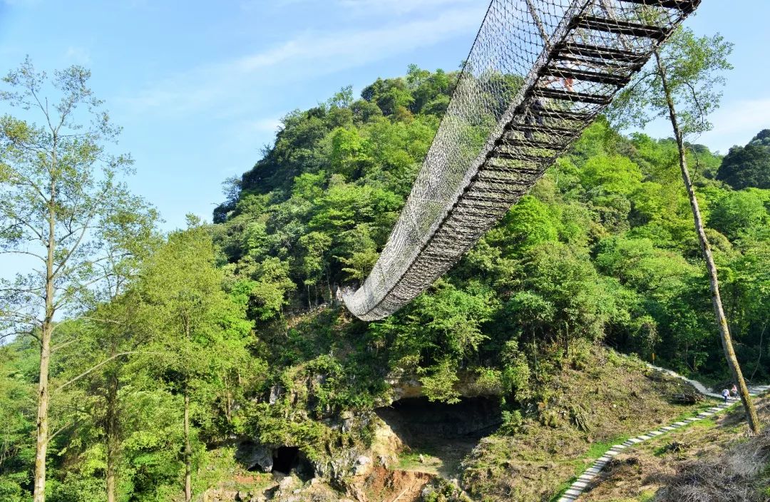 这里好好耍~周末到药王谷玩大人的摇摇船、玻璃水滑道、高空情侣桥、爱的丛林飞越……