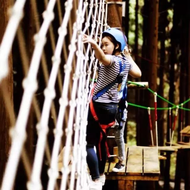 这里好好耍~周末到药王谷玩大人的摇摇船、玻璃水滑道、高空情侣桥、爱的丛林飞越……