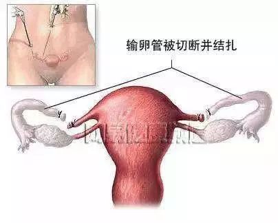 亲爱的，这些小知识我想知道