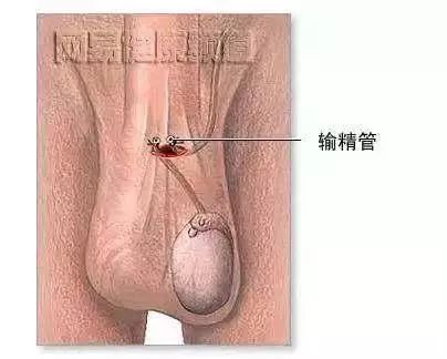 亲爱的，这些小知识我想知道