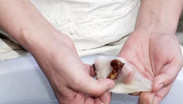 棉花被与蚕丝被哪个好,棉花被跟蚕丝被哪个好