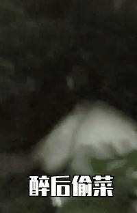 喝多后的几种表现搞笑,喝多了会怎样搞笑