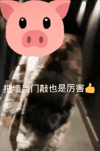 喝多后的几种表现搞笑,喝多了会怎样搞笑