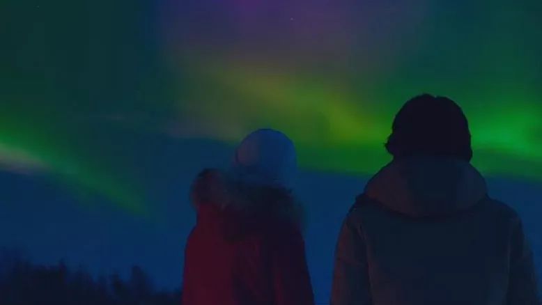 为什么我们迷恋恐龙,为什么我们痴迷篮球