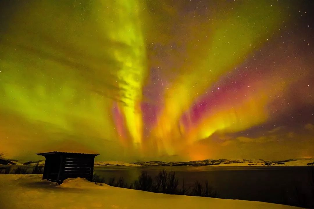 为什么我们迷恋恐龙,为什么我们痴迷篮球