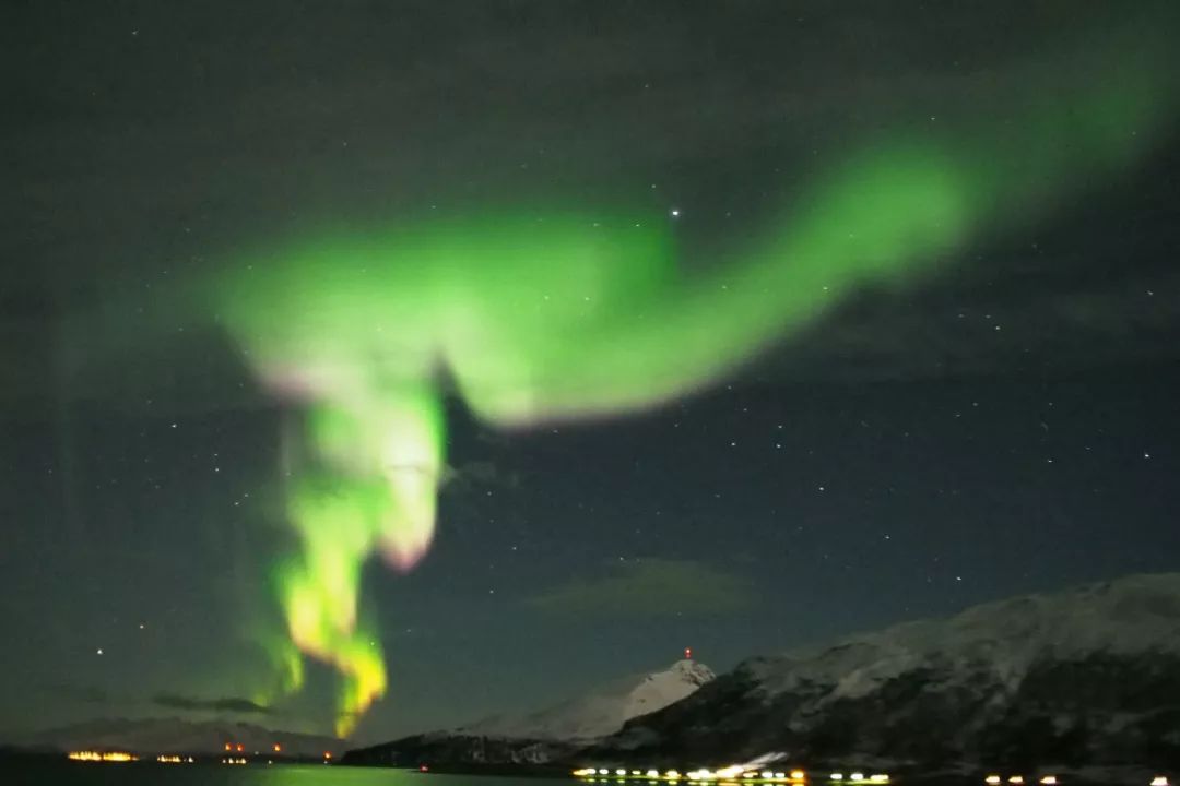 为什么我们迷恋恐龙,为什么我们痴迷篮球