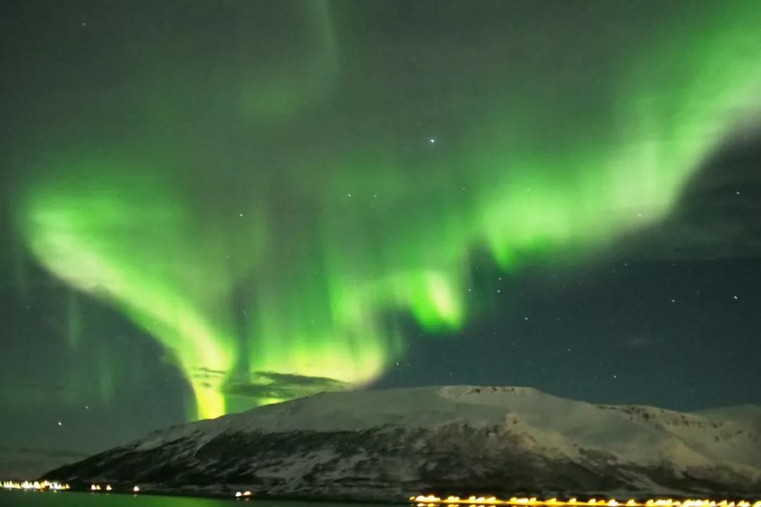 为什么我们迷恋恐龙,为什么我们痴迷篮球