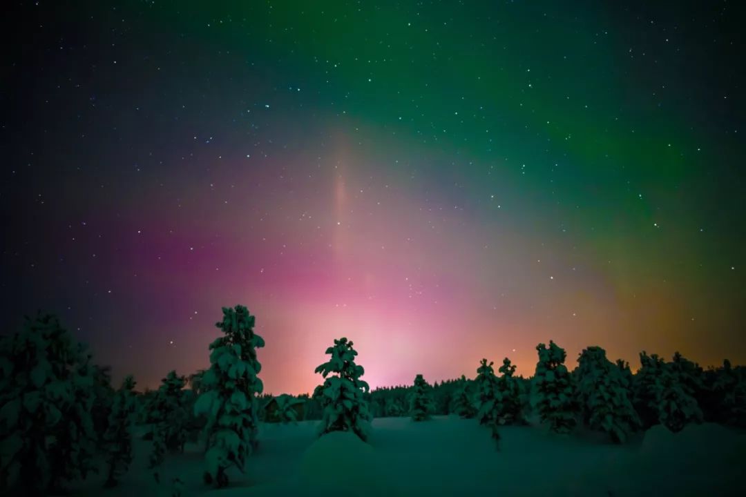 为什么我们迷恋恐龙,为什么我们痴迷篮球