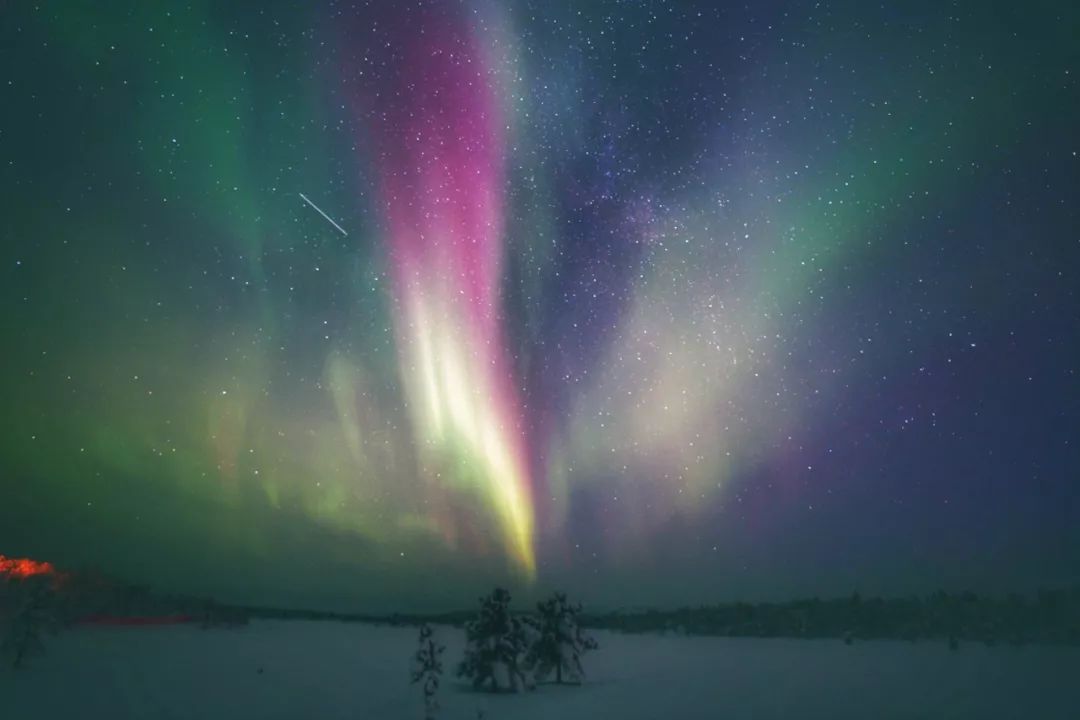 为什么我们迷恋恐龙,为什么我们痴迷篮球