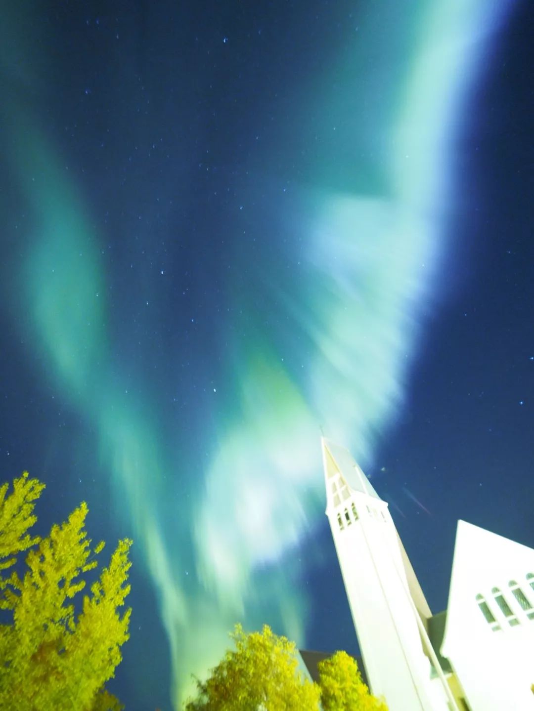 为什么我们迷恋恐龙,为什么我们痴迷篮球