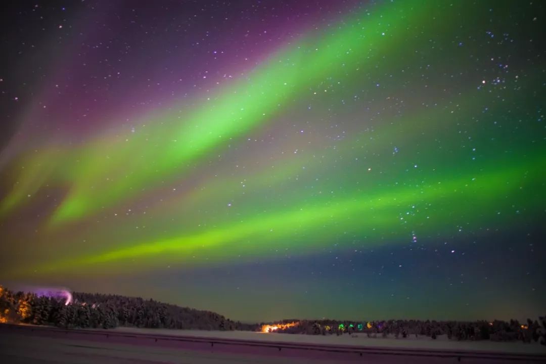 为什么我们迷恋恐龙,为什么我们痴迷篮球