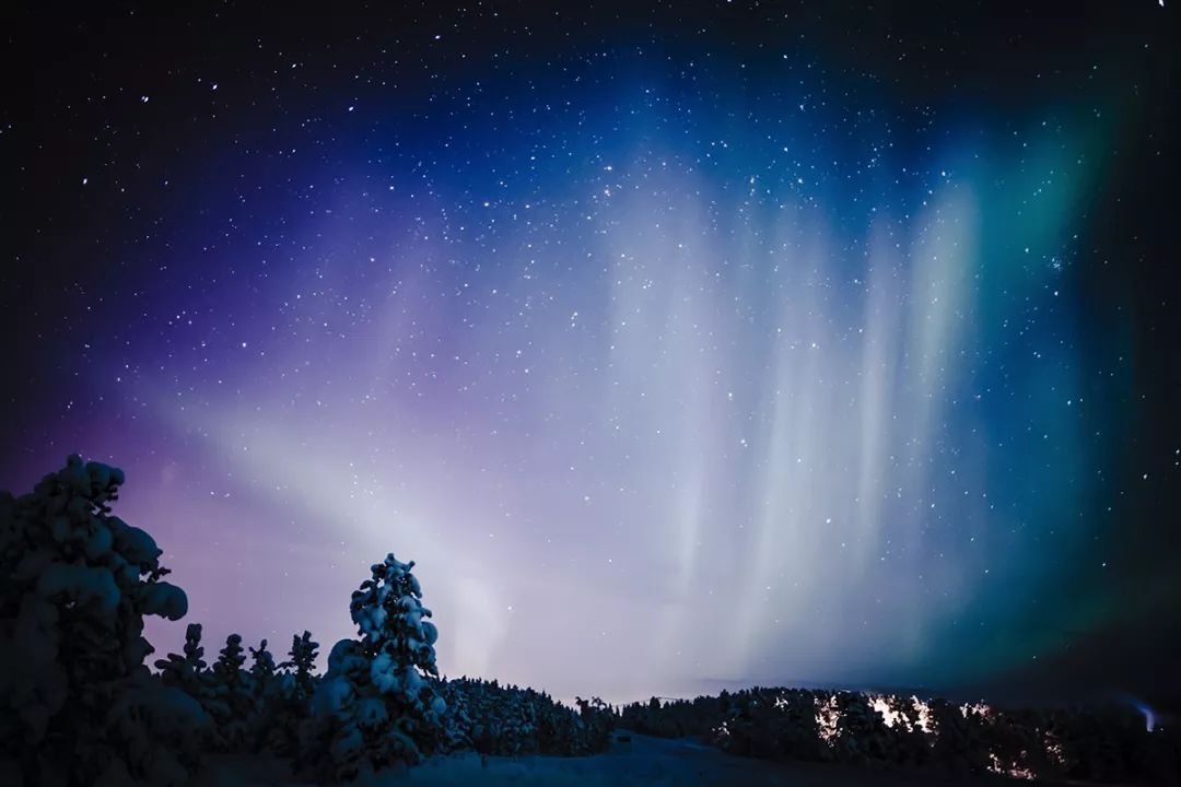 为什么我们迷恋恐龙,为什么我们痴迷篮球