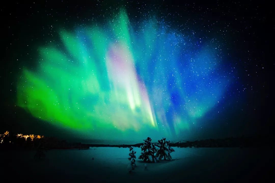 为什么我们迷恋恐龙,为什么我们痴迷篮球