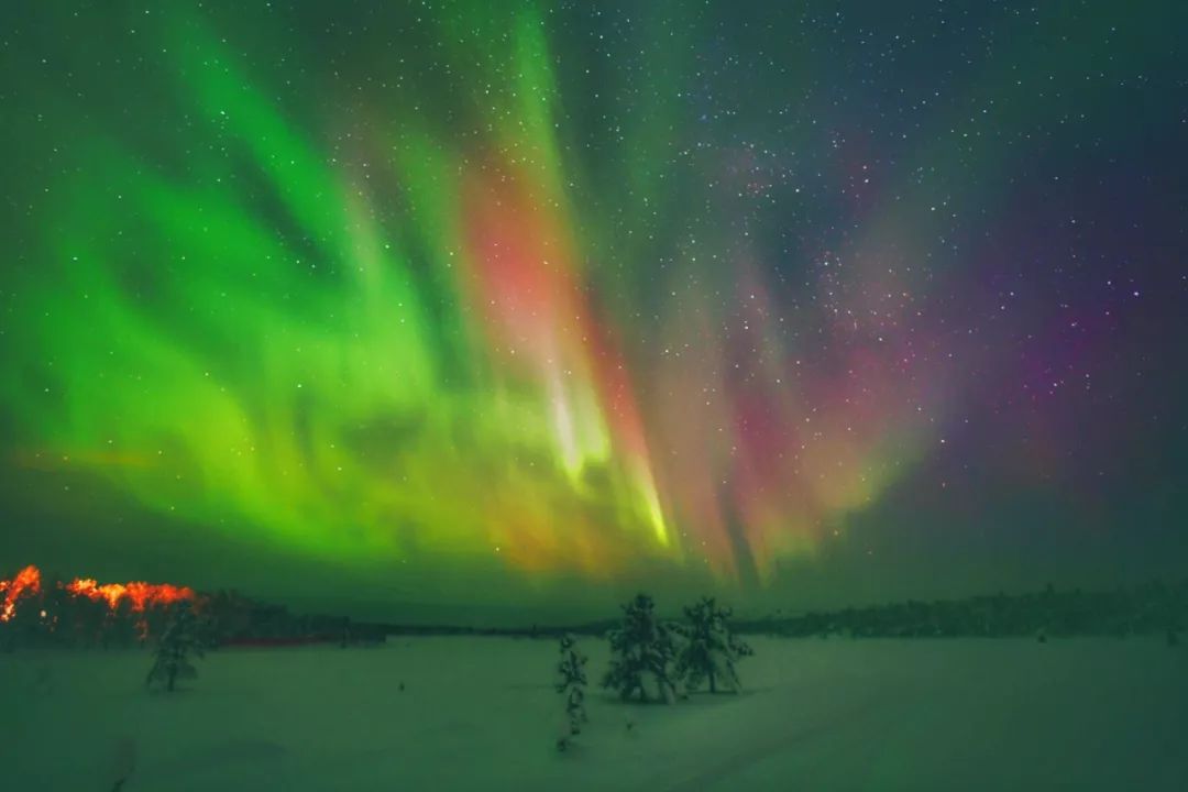 为什么我们迷恋恐龙,为什么我们痴迷篮球