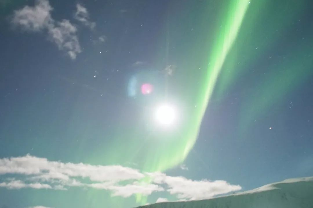 为什么我们迷恋恐龙,为什么我们痴迷篮球