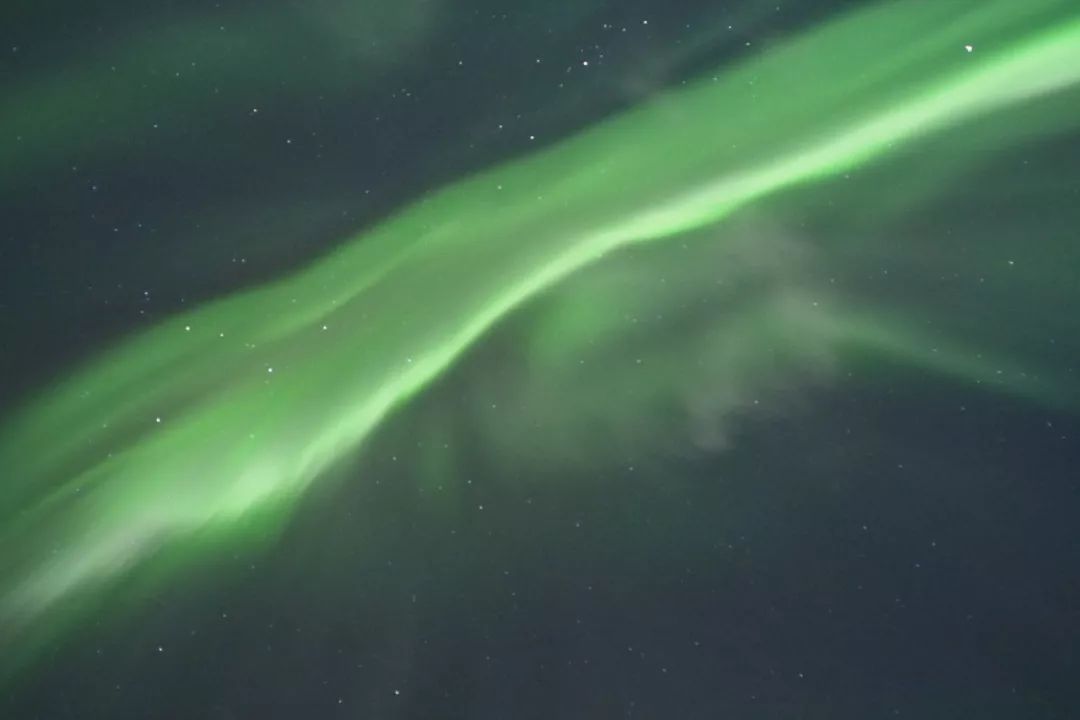 为什么我们迷恋恐龙,为什么我们痴迷篮球