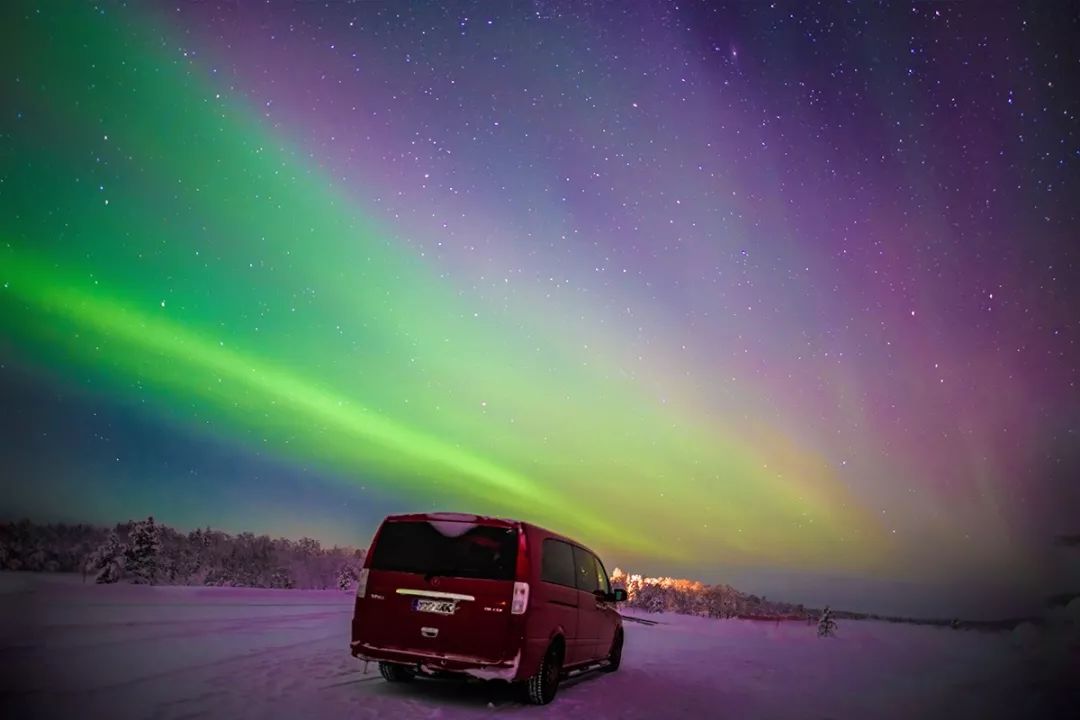 为什么我们迷恋恐龙,为什么我们痴迷篮球