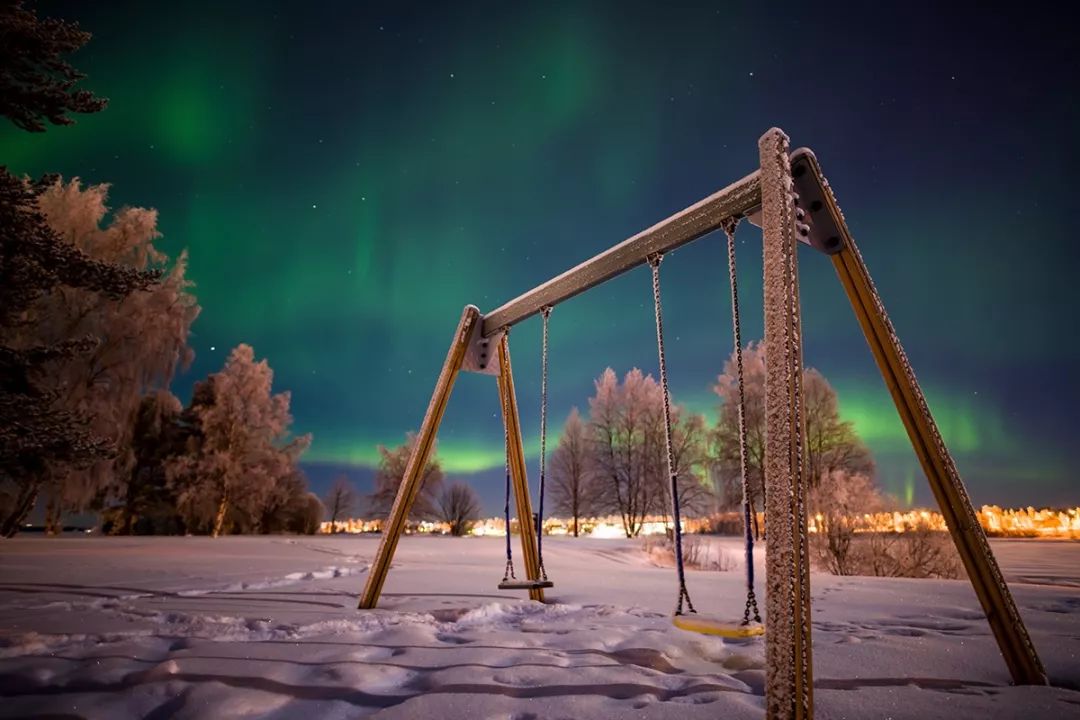 为什么我们迷恋恐龙,为什么我们痴迷篮球