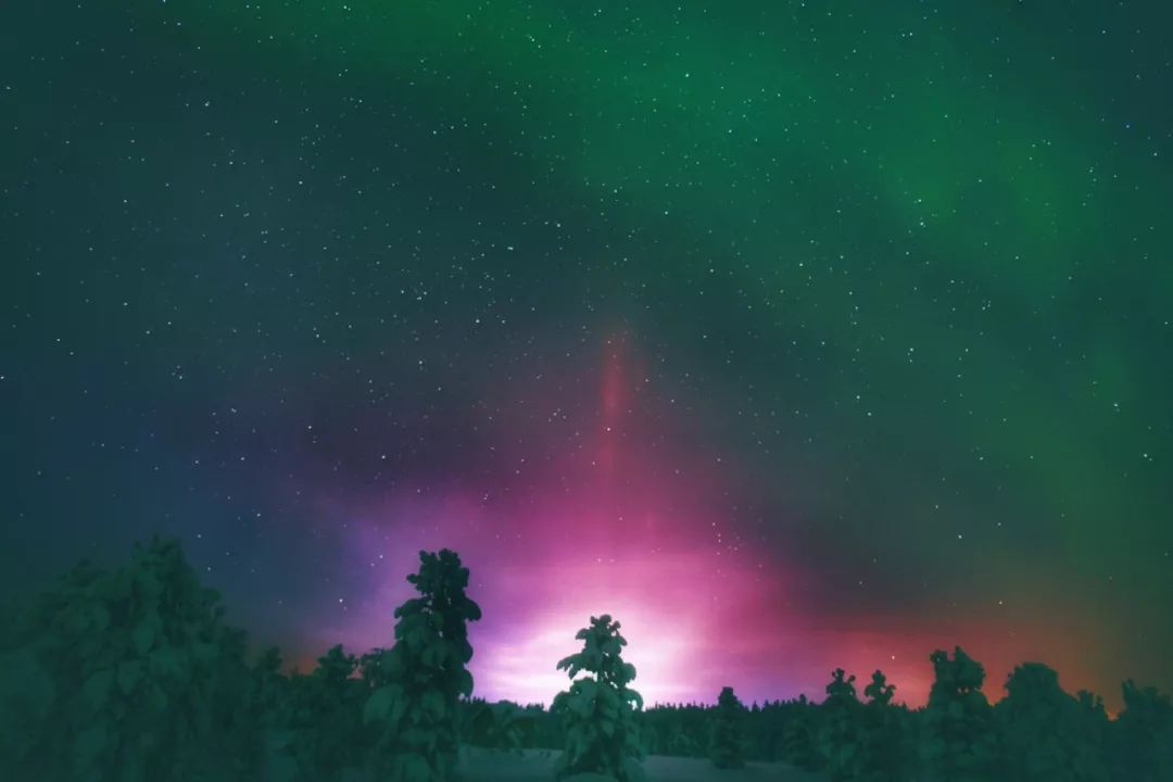 为什么我们迷恋恐龙,为什么我们痴迷篮球