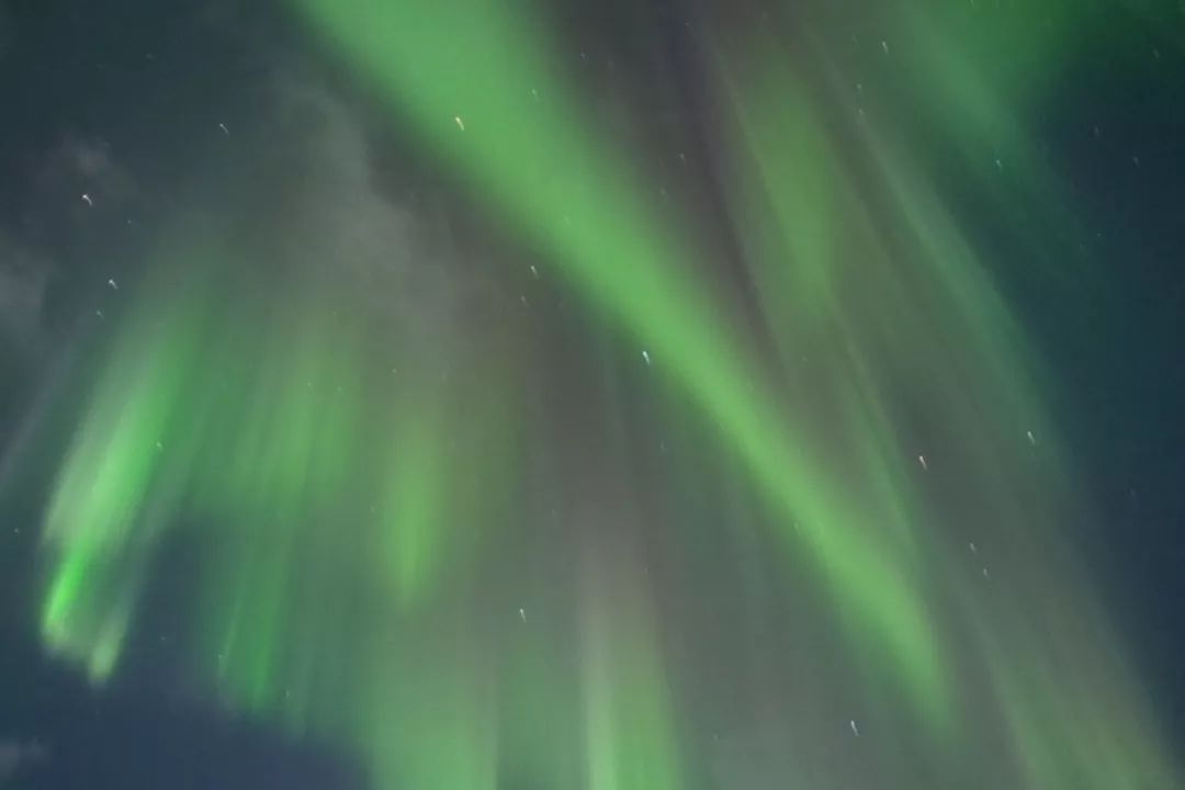 为什么我们迷恋恐龙,为什么我们痴迷篮球