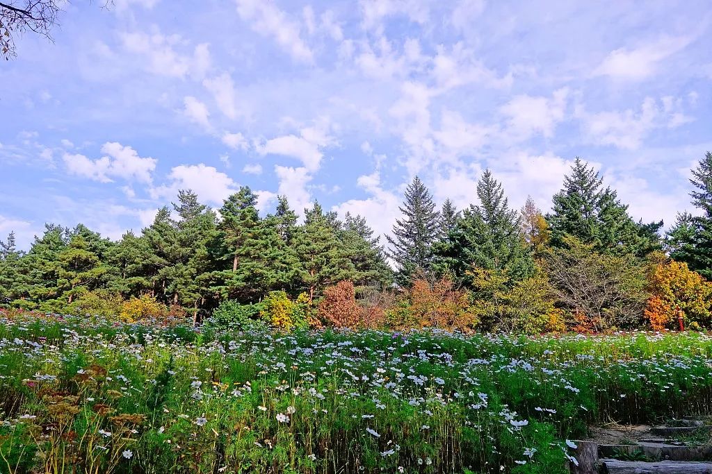 立秋凉快宜人的季节,立秋天气哪里凉快了呢