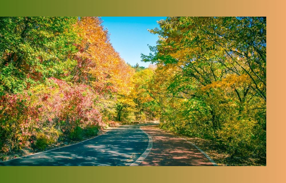 立秋凉快宜人的季节,立秋天气哪里凉快了呢