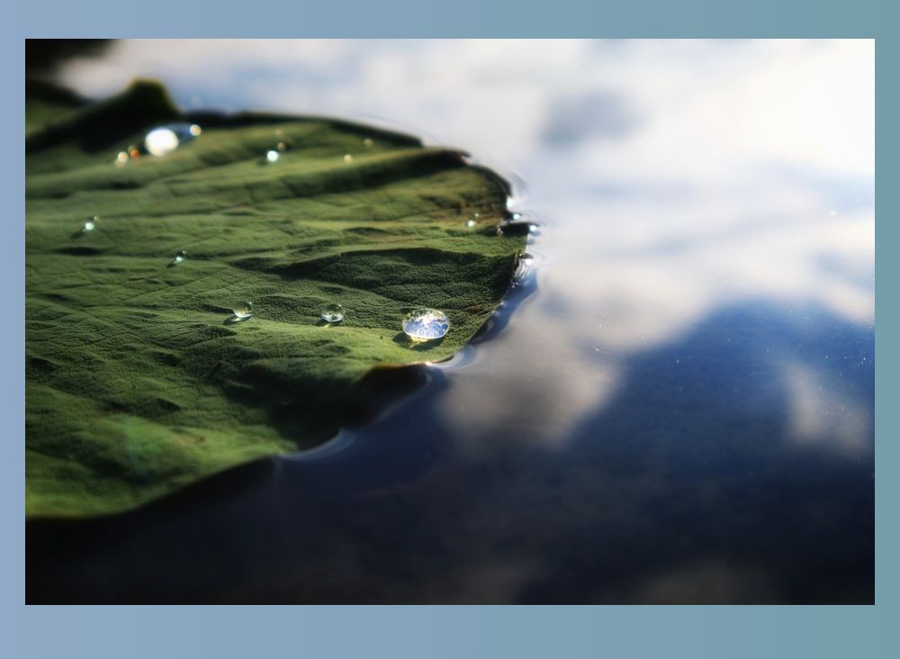 立秋凉快宜人的季节,立秋天气哪里凉快了呢