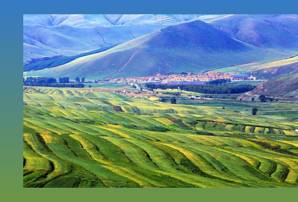 立秋凉快宜人的季节,立秋天气哪里凉快了呢