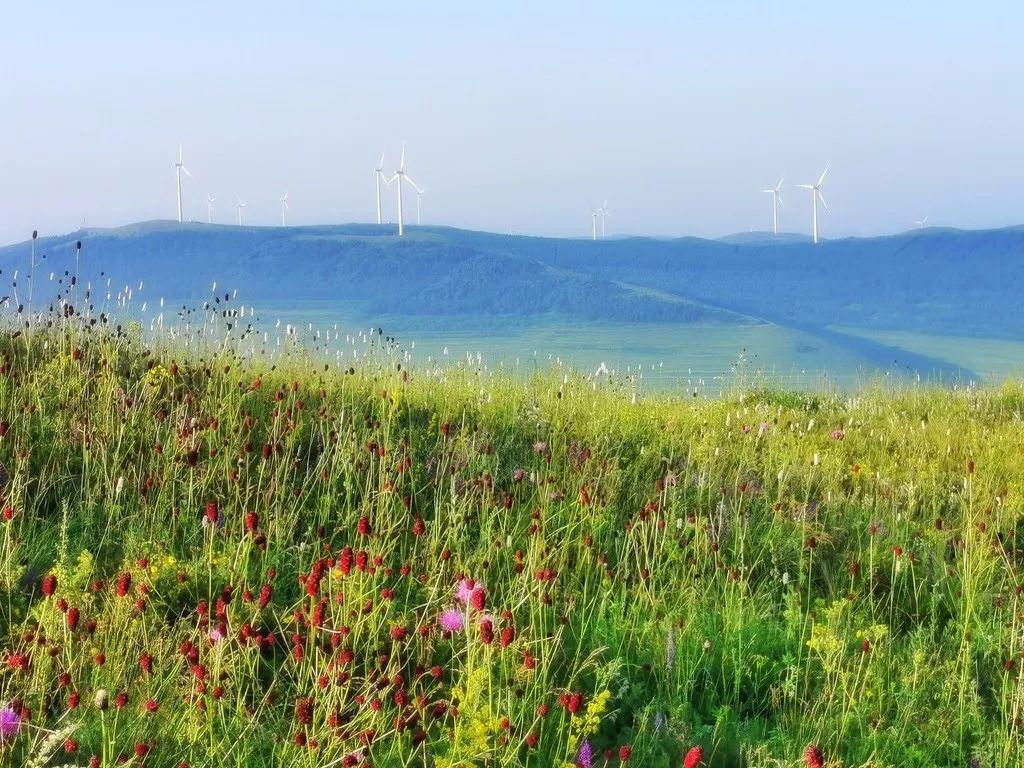 立秋凉快宜人的季节,立秋天气哪里凉快了呢