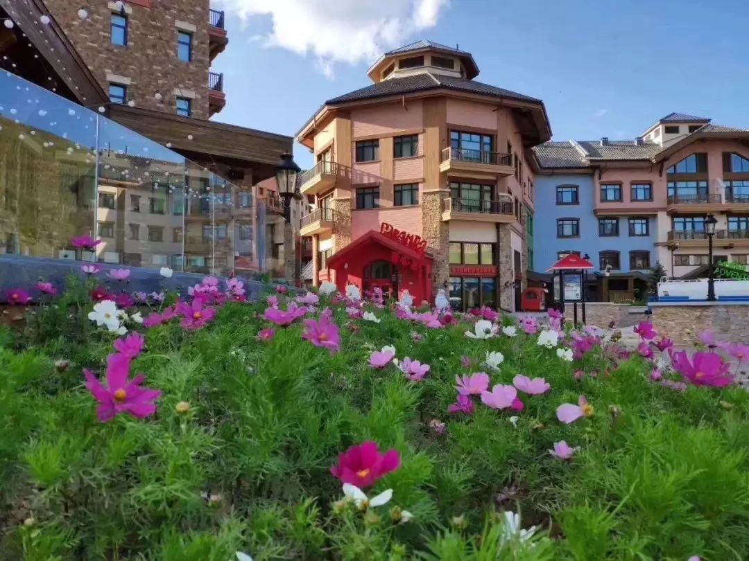 立秋凉快宜人的季节,立秋天气哪里凉快了呢