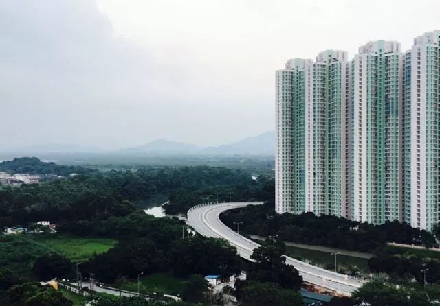 元朗荣华海苔肉松老婆饼,香港元朗恒香老婆饼广州店