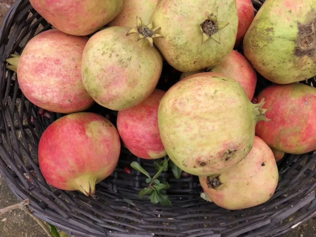 正宗软籽石榴突尼斯顺丰,正宗突尼斯软籽石榴10斤新鲜当季