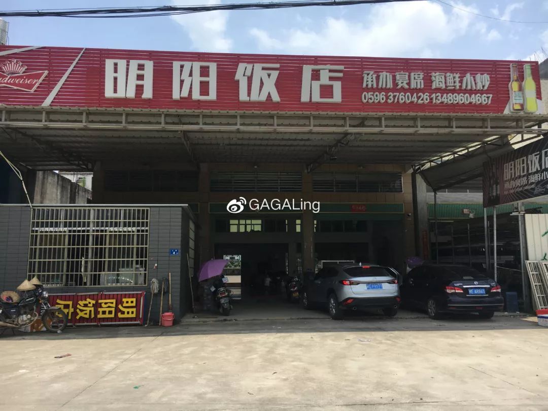 大v推荐好房,大v推荐传祺m8