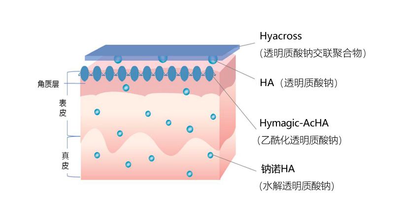 敷这12款面膜也太舒服了,我不准你没用过