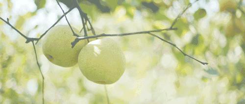 盘点能唤起乡愁的田园,能唤起乡愁的田园你还没去过