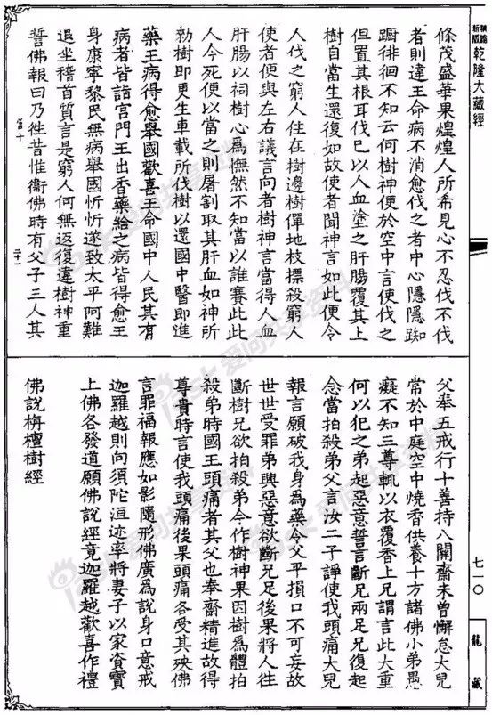 浼犲绱獉,浼犲绱獉鐪熷亣