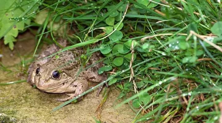 灾难对人类的危害,灾难对人们有哪些负面影响