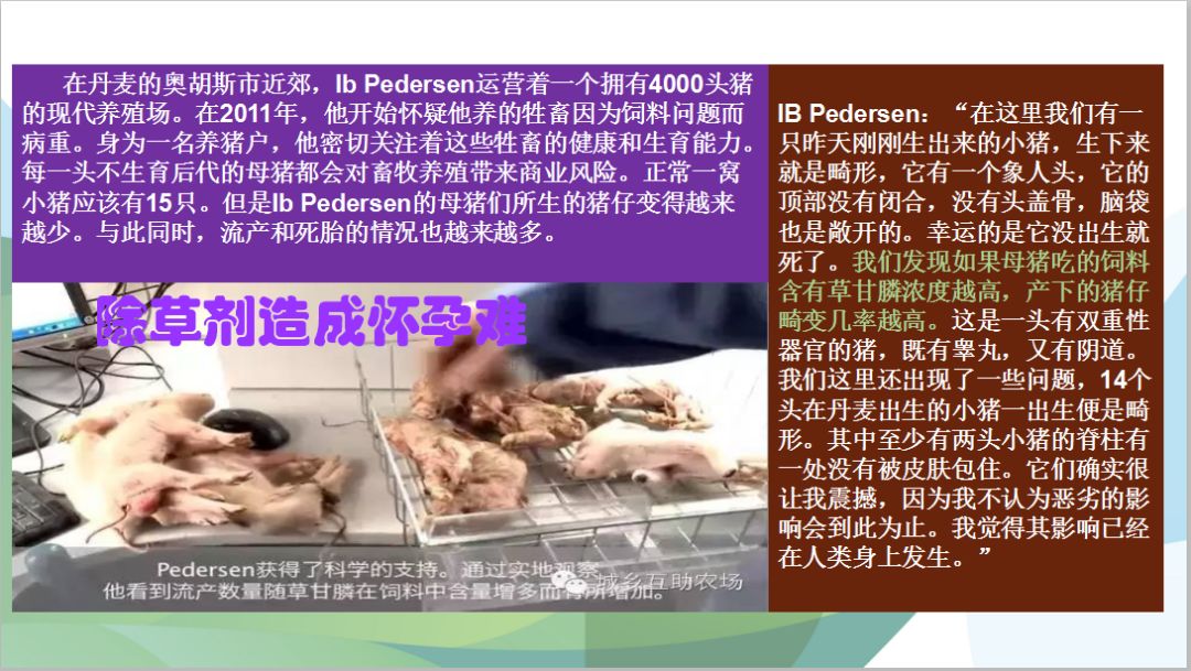 灾难对人类的危害,灾难对人们有哪些负面影响