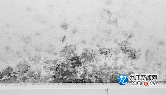 卧室墙体浸水，7天才找到“病根”马桶渗水房屋遭殃，损失谁担？