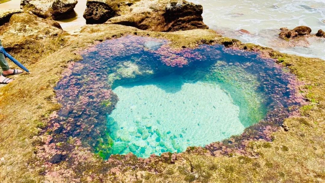 日本人心中的xjapan,日本人心中的圣地在哪