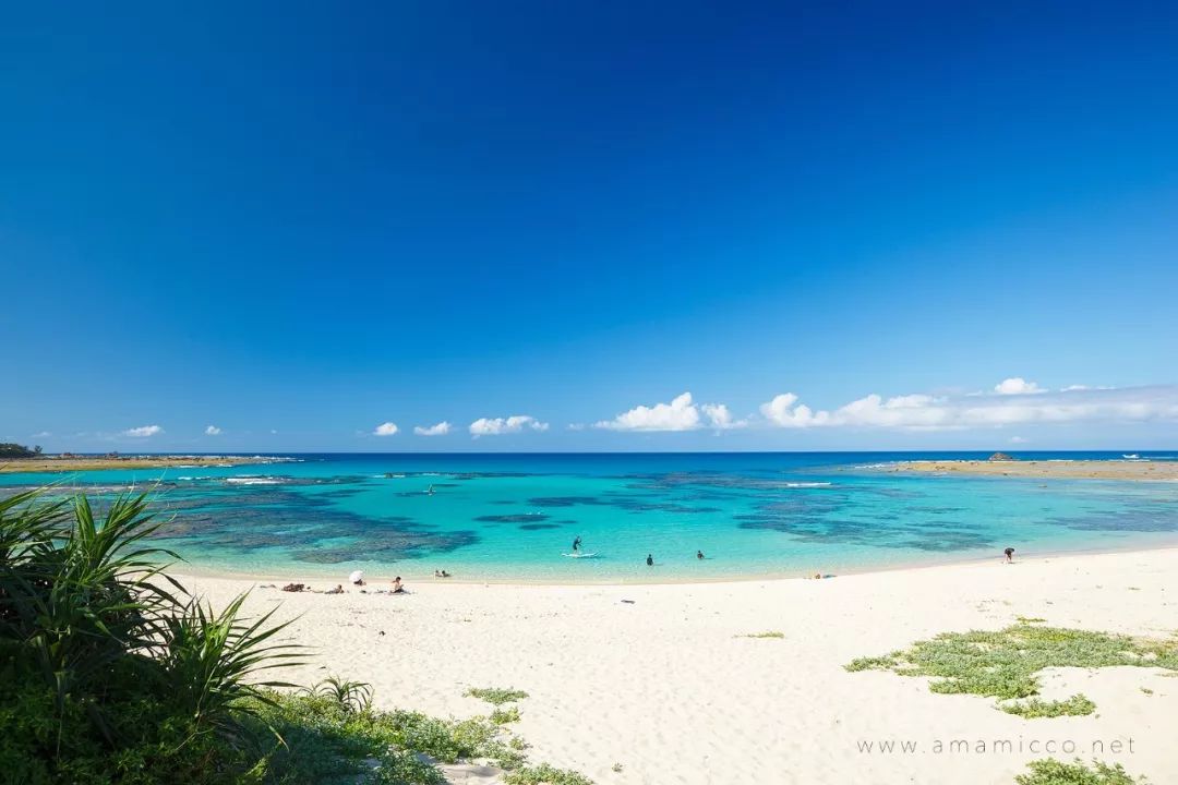 日本人心中的xjapan,日本人心中的圣地在哪