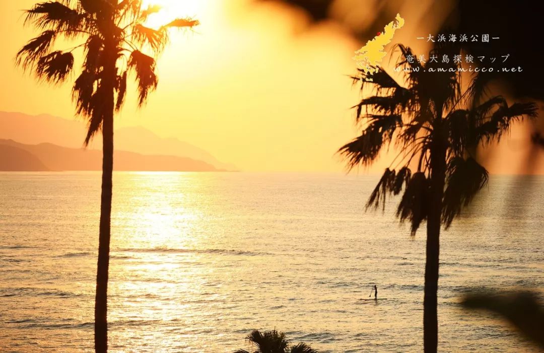 日本人心中的xjapan,日本人心中的圣地在哪