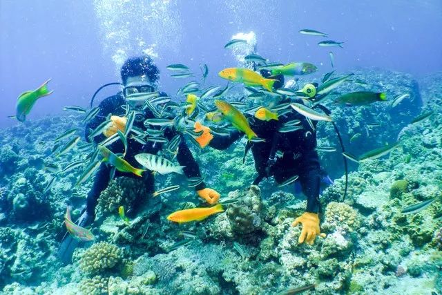 日本人心中的xjapan,日本人心中的圣地在哪