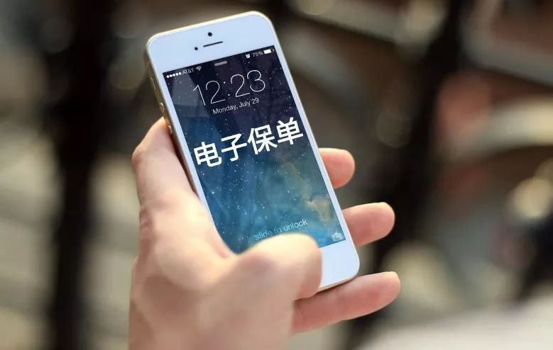 查询车辆保险电子保单,车主查看车保险