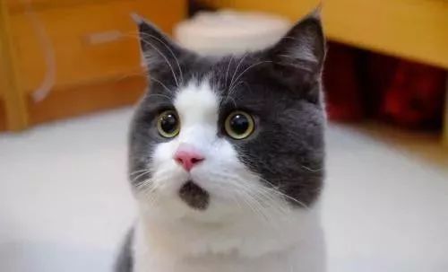 驾校教练酒驾被抓,驾校教练醉酒驾车被抓获