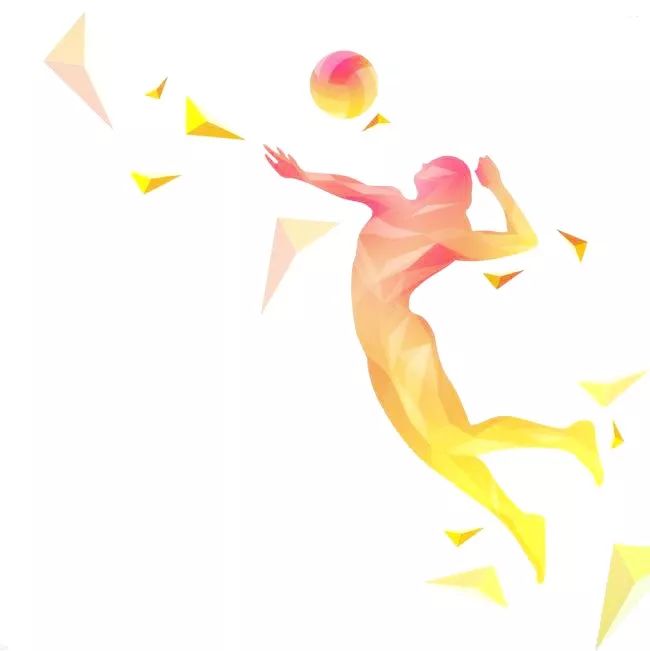 郎平率领的中国女排,郎平时期的中国女排队员