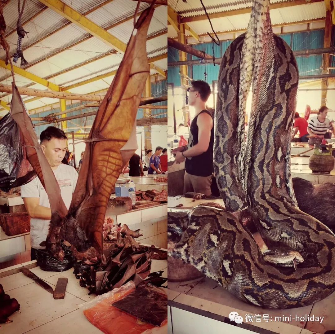 亲历|火山海龟岛屿，盼来武汉直航！“5小时飞行+落地签”身临奇境「398」