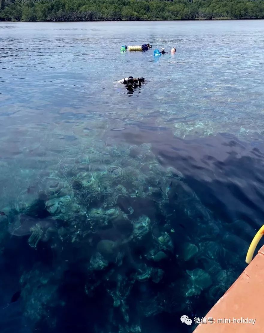 亲历|火山海龟岛屿，盼来武汉直航！“5小时飞行+落地签”身临奇境「398」