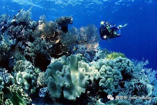 亲历|火山海龟岛屿，盼来武汉直航！“5小时飞行+落地签”身临奇境「398」