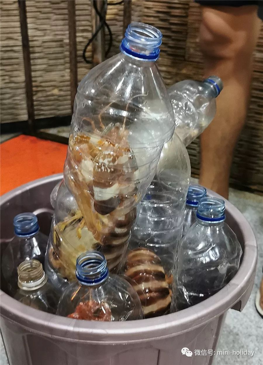 亲历|火山海龟岛屿，盼来武汉直航！“5小时飞行+落地签”身临奇境「398」